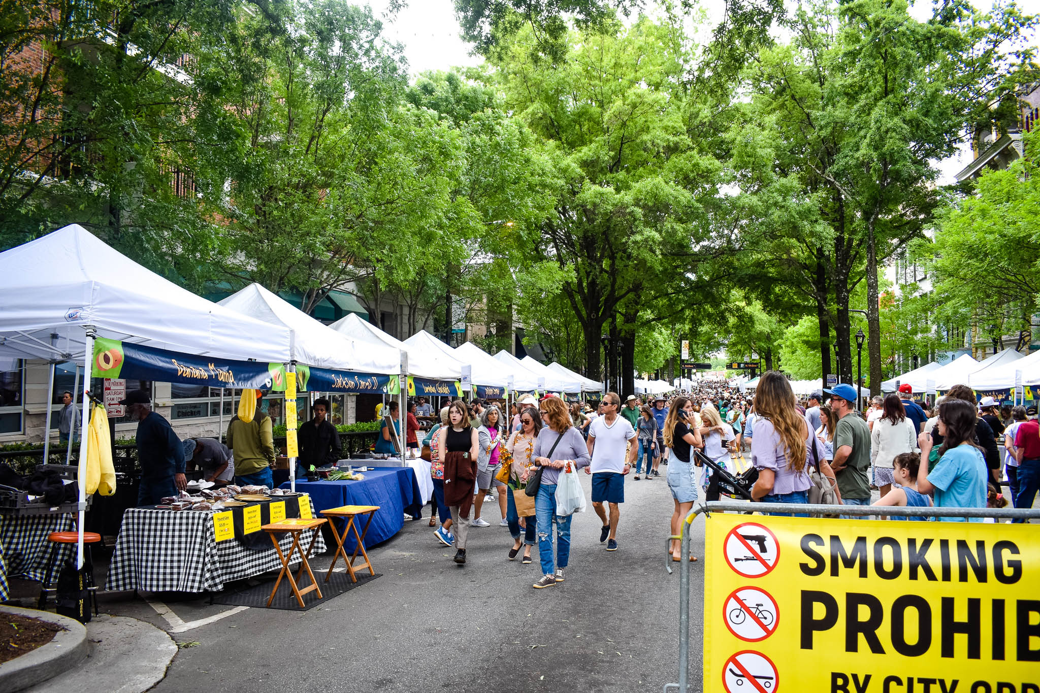 Locals and visitors enjoying the TD Saturday Market in downtown Greenville, SC. Taken by Allspice Photography, LLC.