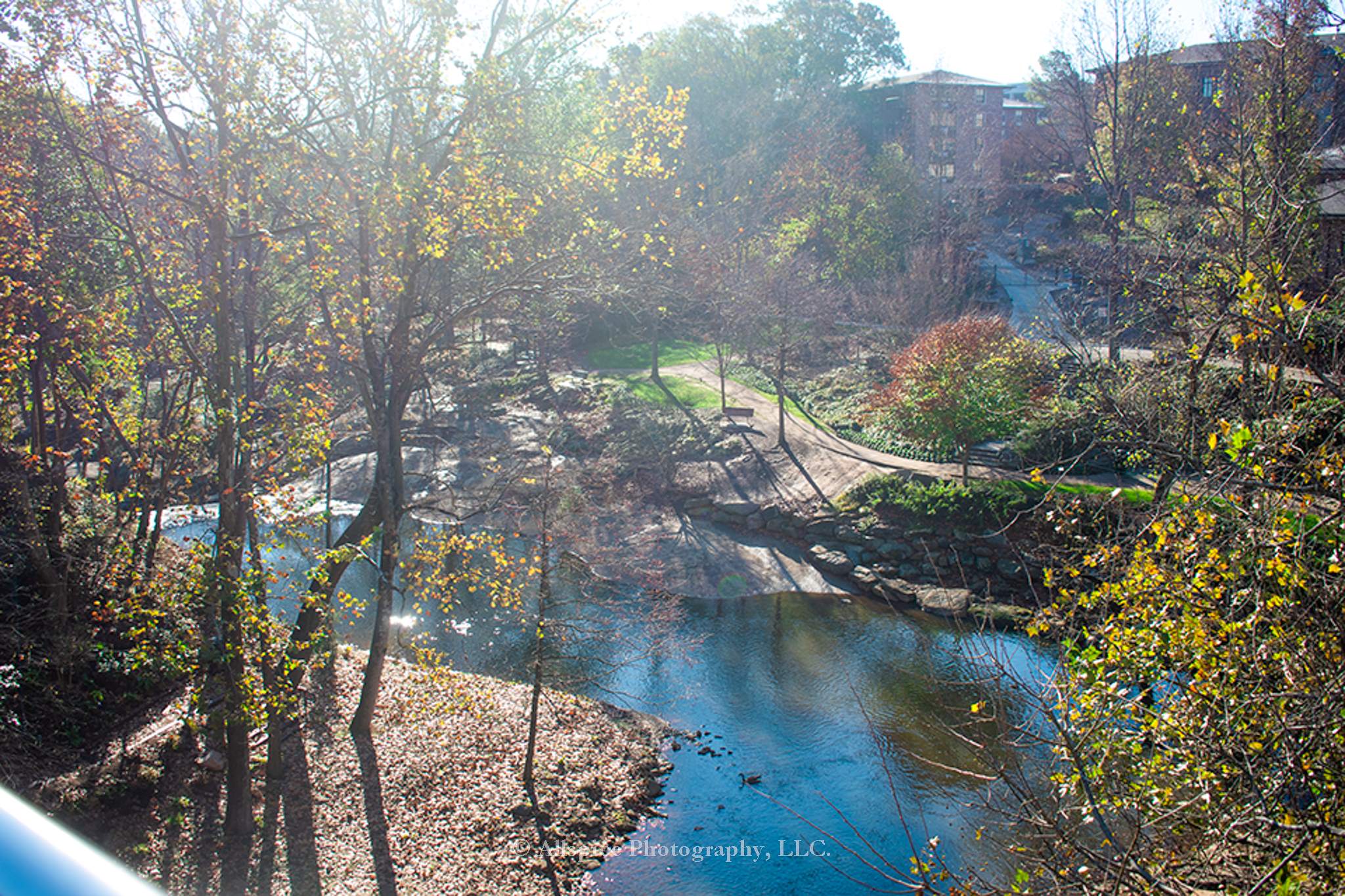 Falls Park, Greenville, SC. Taken by Allspice Photography, LLC.