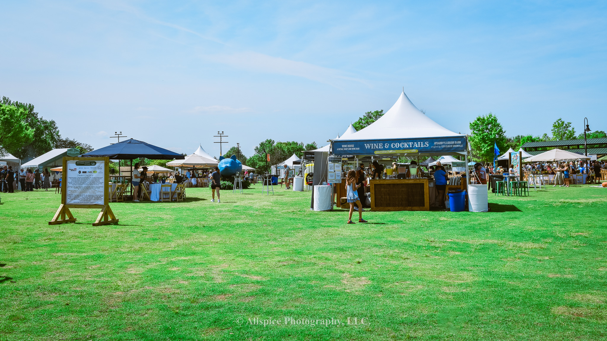 The Southern Roots Reunion Festival at Trailblazer Park in Travelers Rest, SC. Taken by Allspice Photography, LLC.