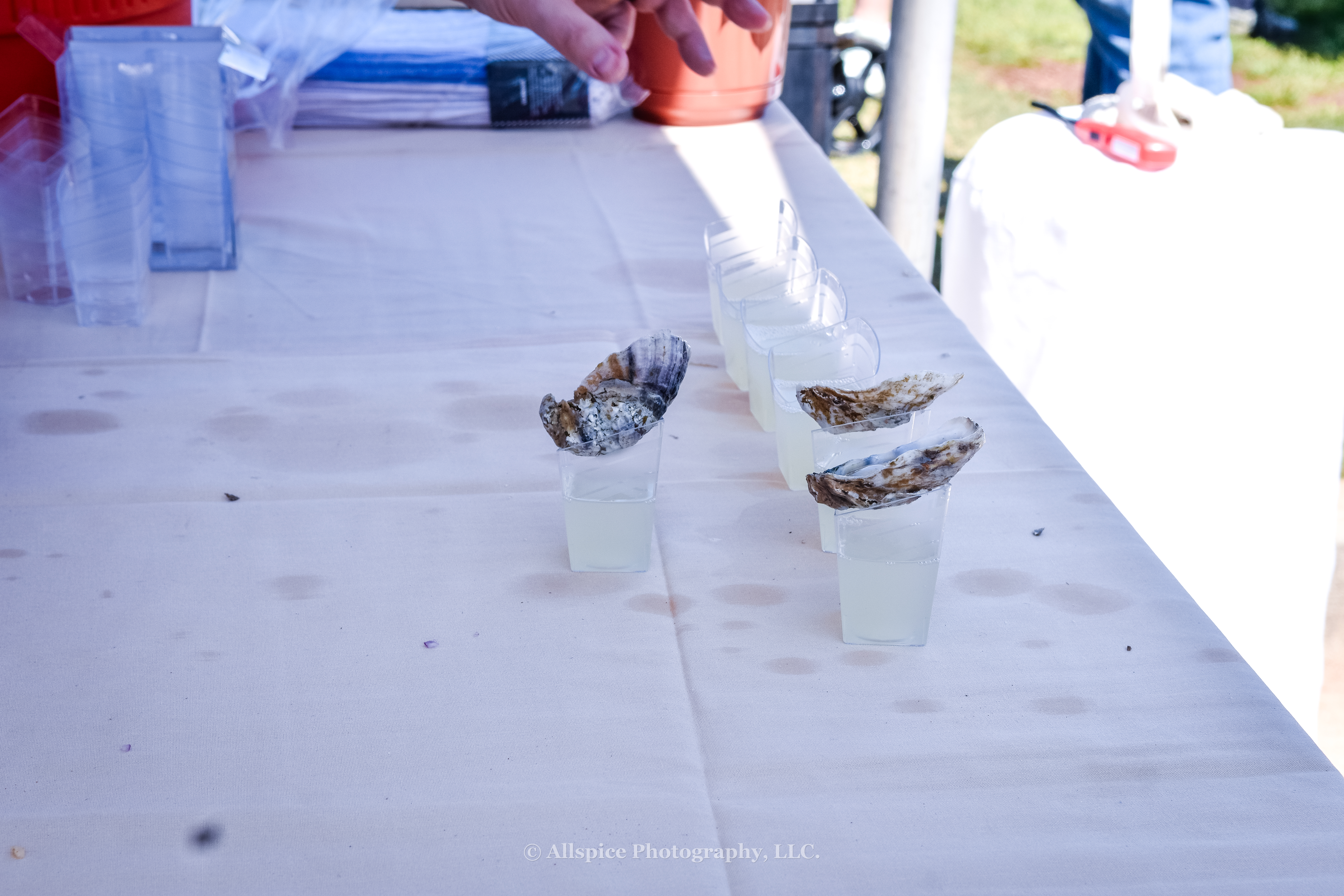 The Jones Oyster Co.'s oyster shooters from the VIP area at Southern Roots Reunion in Travelers Rest, SC. Photo by Allspice Photography, LLC.