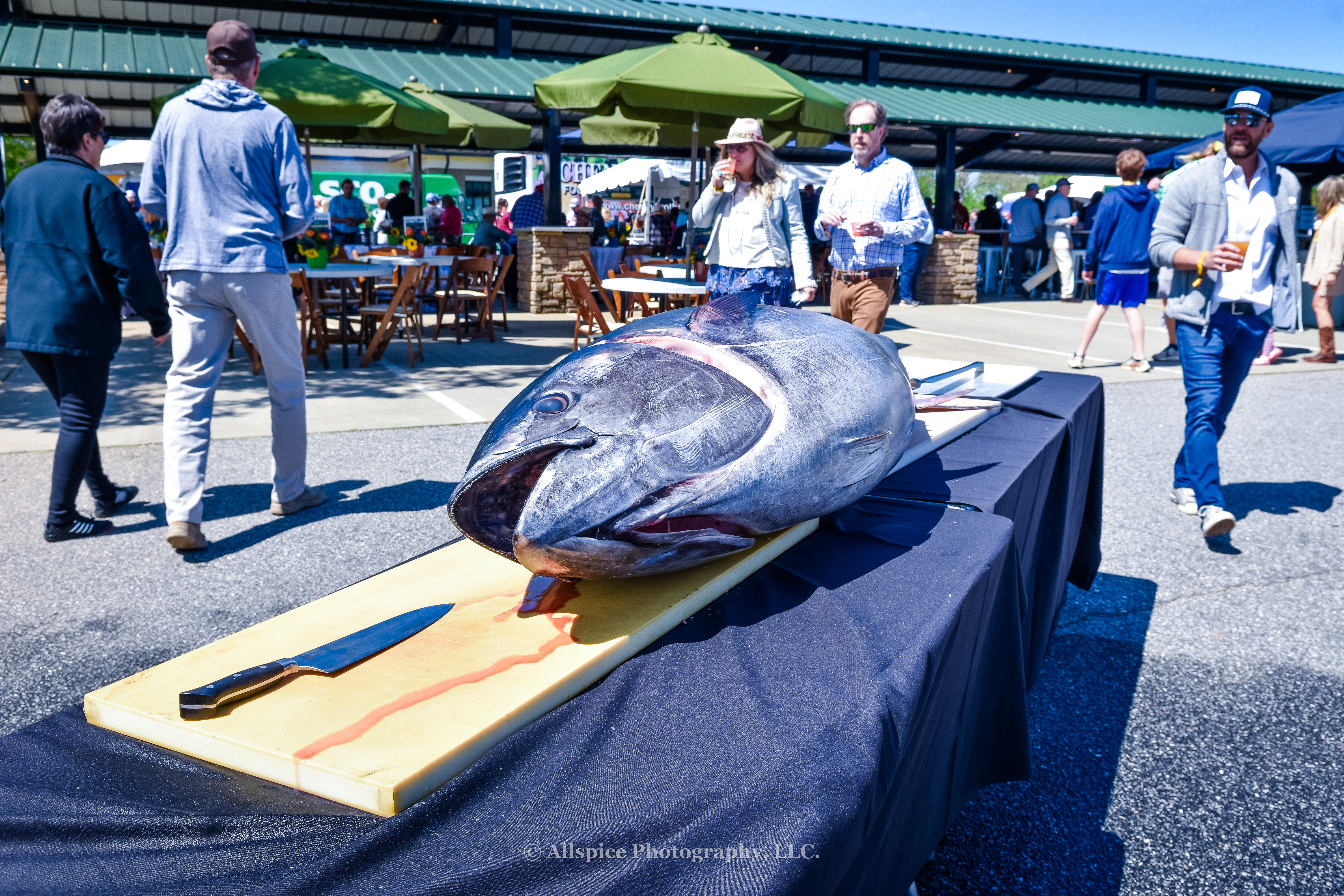 Whole tuna before the live cutting from Sushiyama in the VIP area at Southern Roots Reunion in Travelers Rest, SC. Photo by Allspice Photography, LLC.